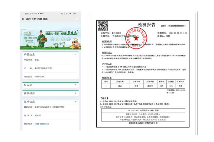 web开发