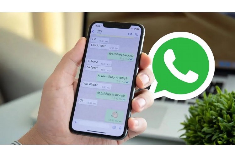 whatsapp注册