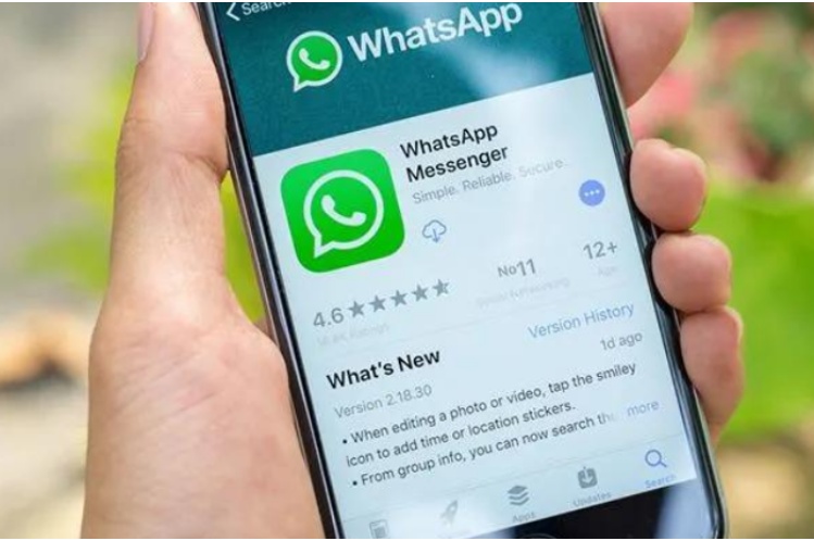 whatsapp安卓手机版